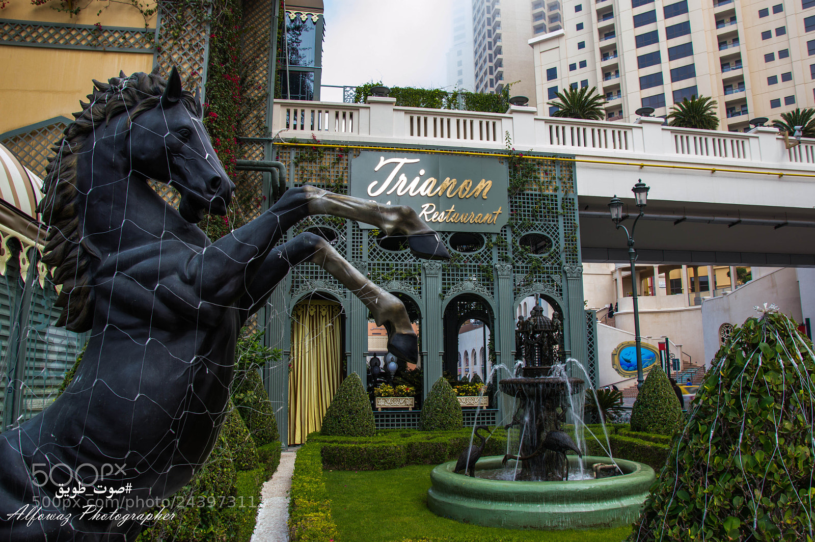 Nikon D3200 sample photo. Untitled photography