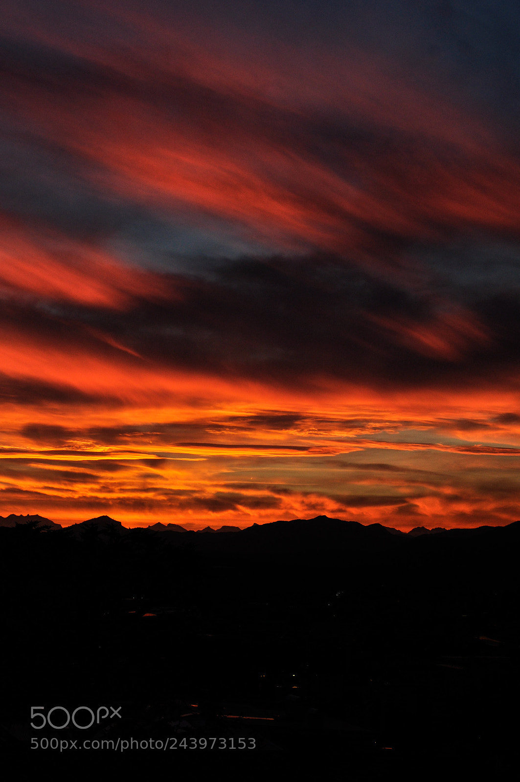 Nikon D5000 sample photo. Vertical horizon photography