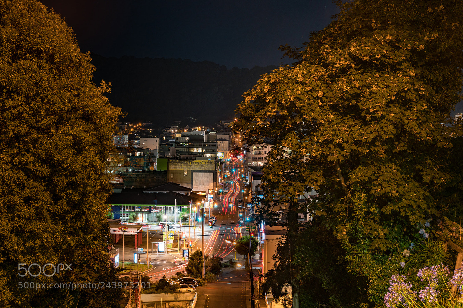 Sony a7R II sample photo. Wellington city-8 photography