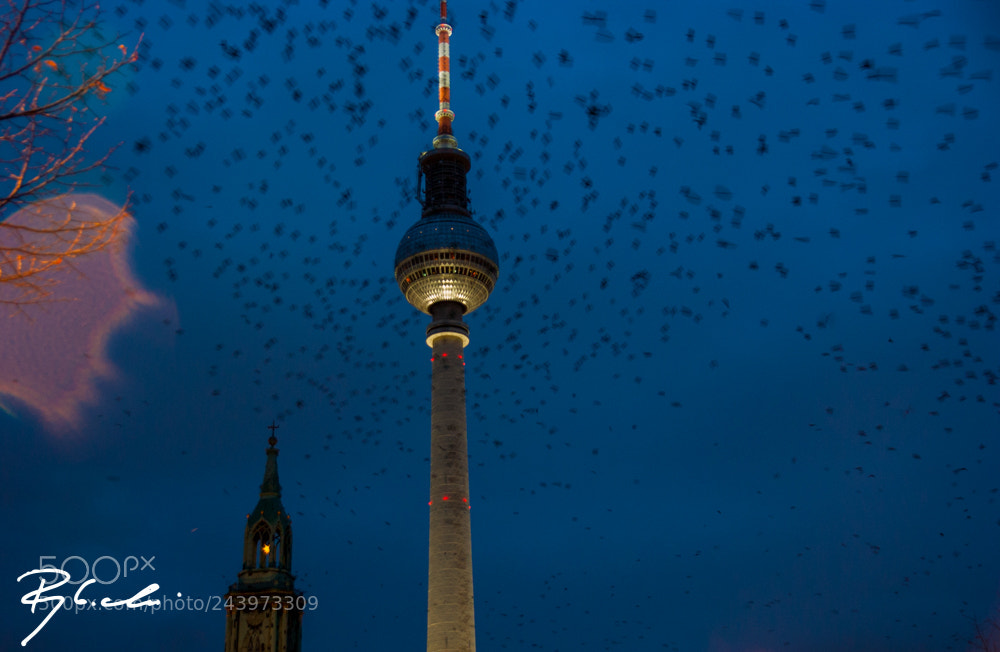 Sony Alpha DSLR-A350 sample photo. Berlin tower photography