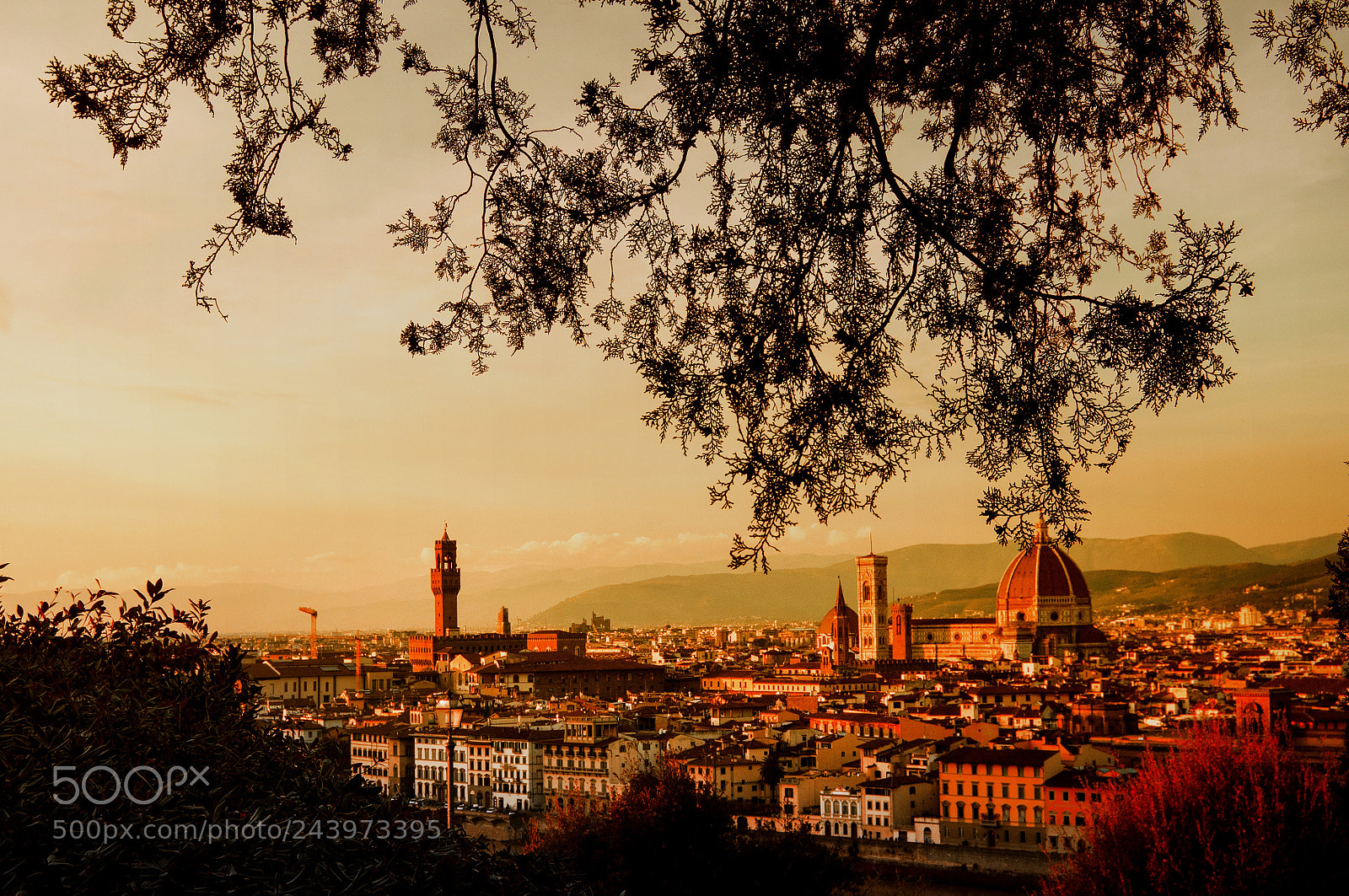 Nikon D90 sample photo. Florence from piazzale michelangelo photography