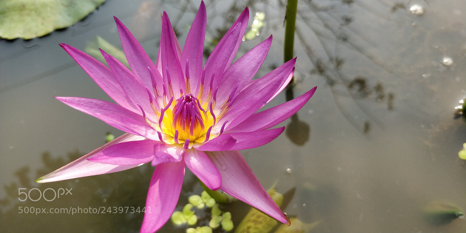 OnePlus 5T sample photo. Untitled photography