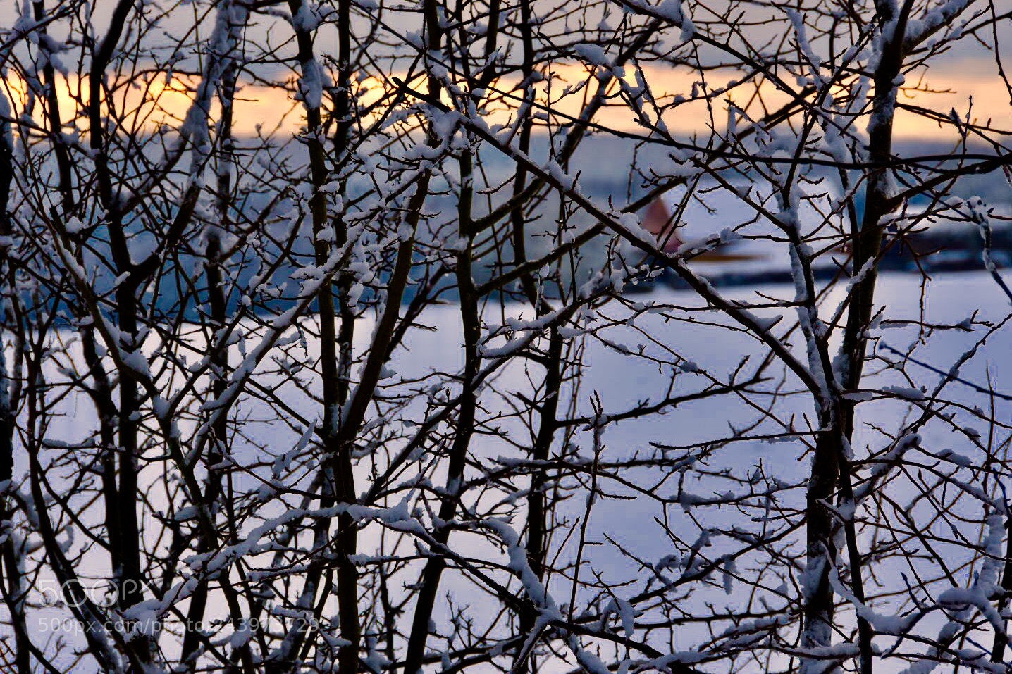 Nikon D7200 sample photo. Nightfall  photography