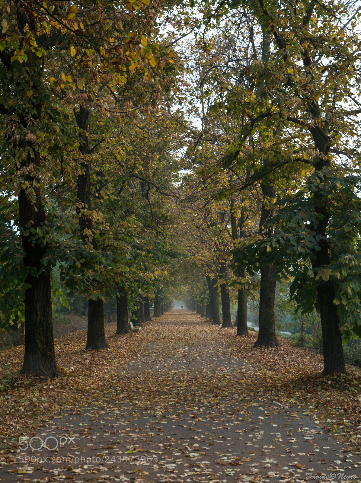 Nikon D7100 sample photo. Viale photography