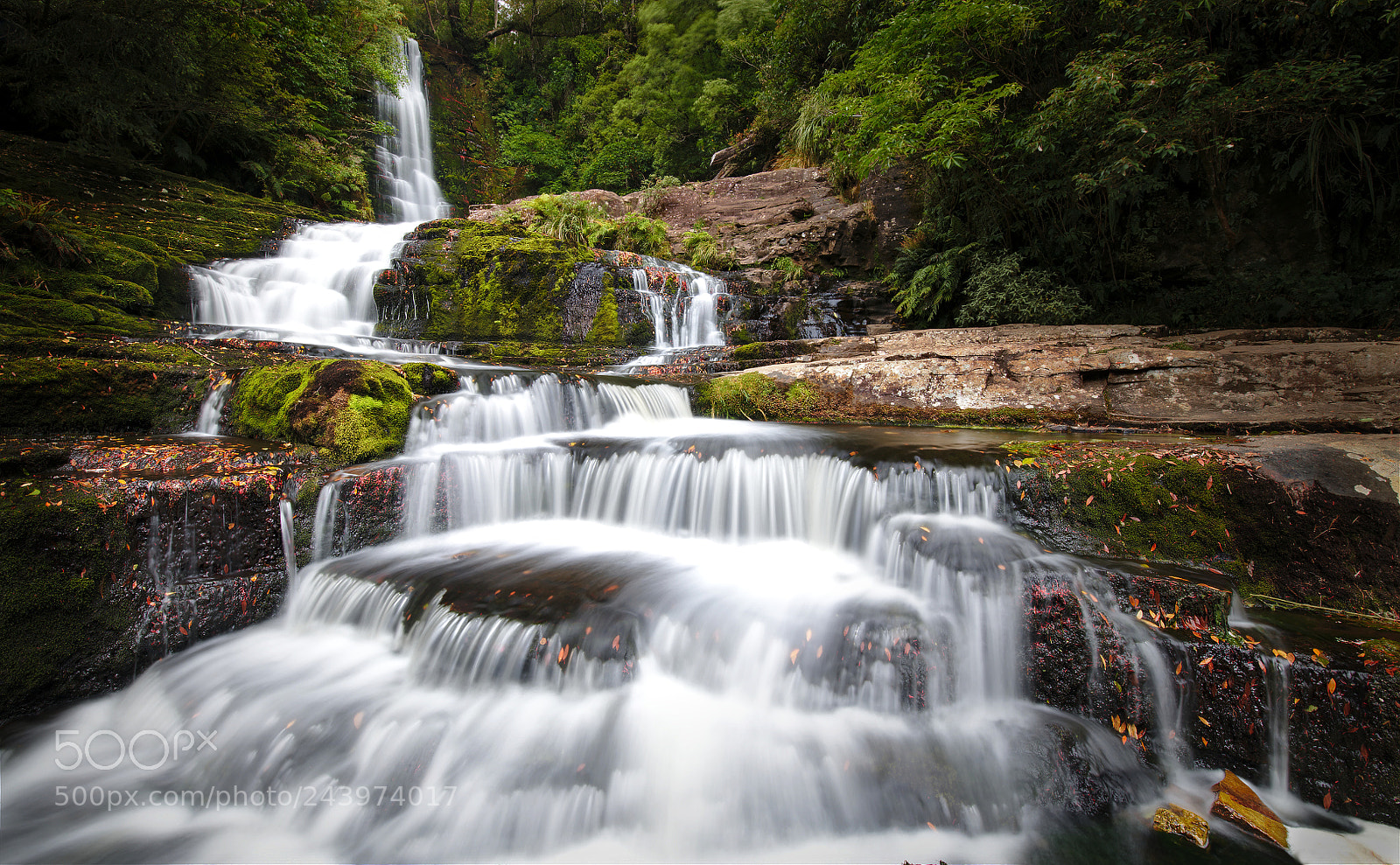 Nikon D850 sample photo. Mcleans falls in summer photography