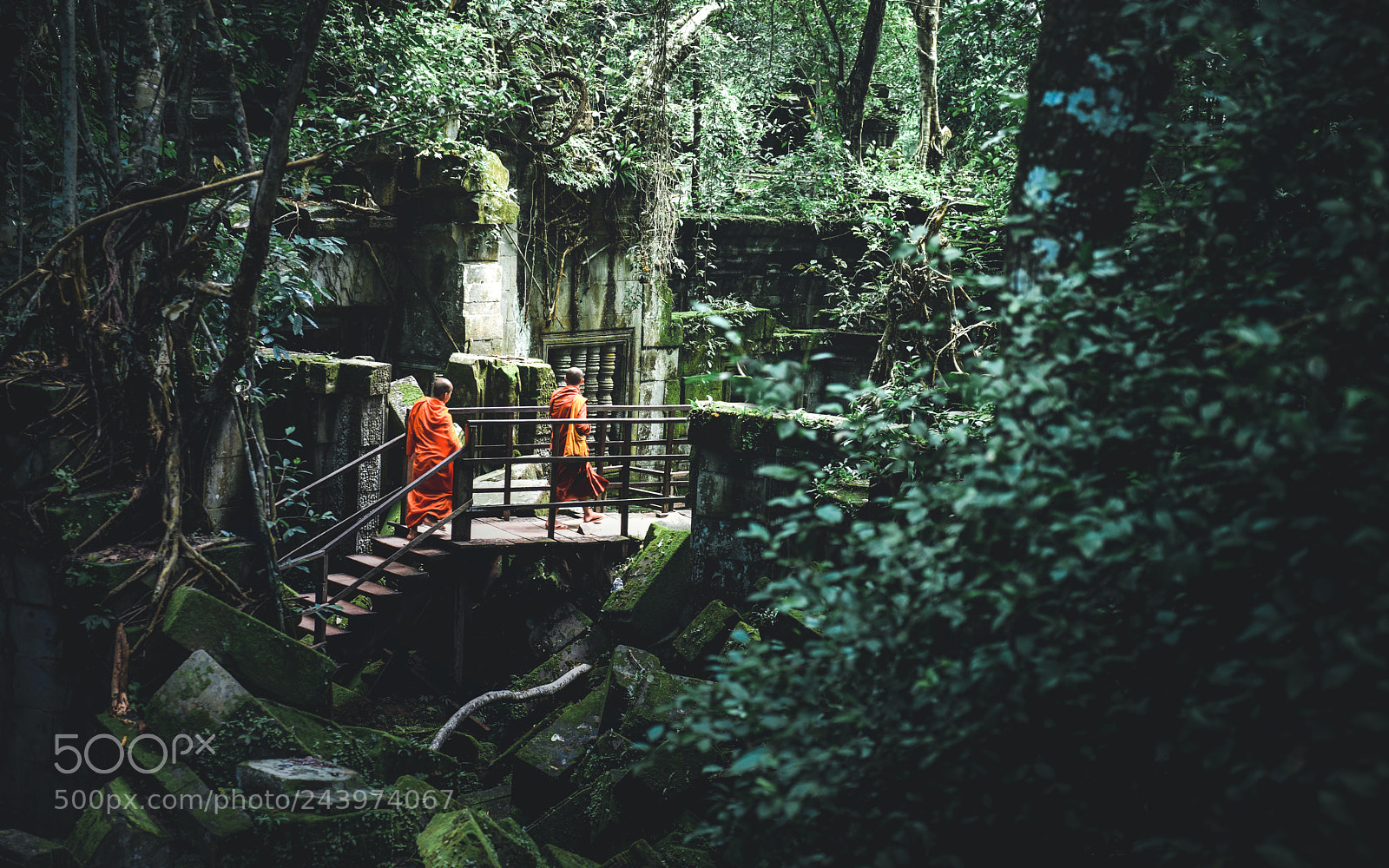 Nikon D810 sample photo. Edit edit photography
