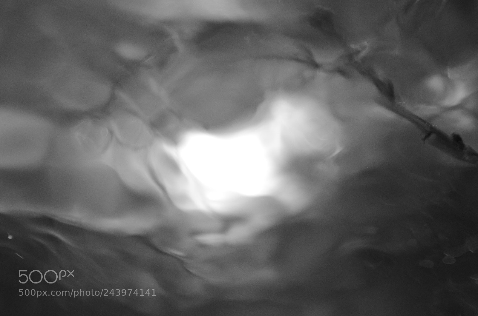 Nikon D5100 sample photo. Invincible through the storm photography