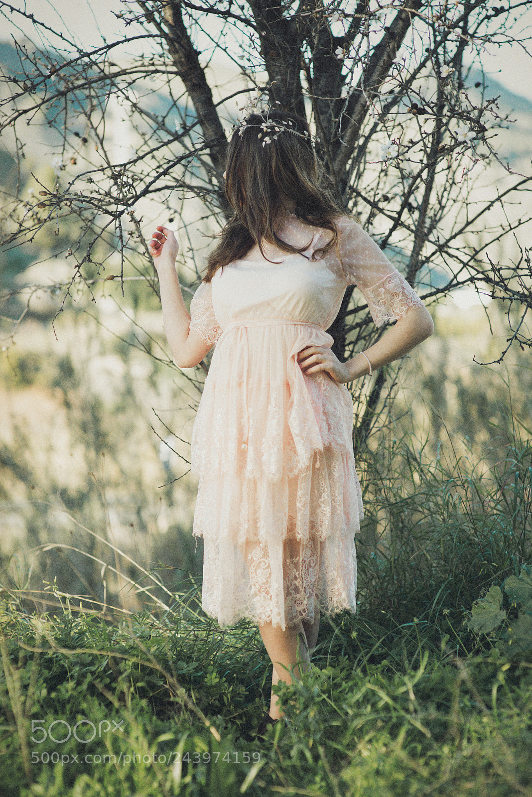 Nikon D810 sample photo. Almendros photography