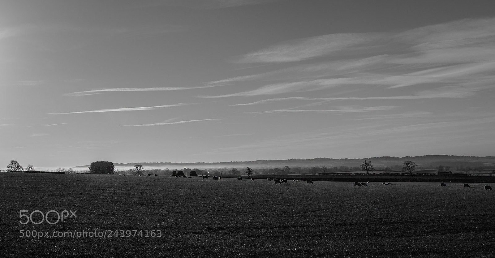 Nikon D850 sample photo. Alveley in black and photography