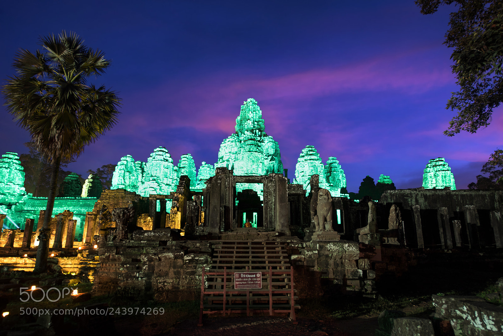 Nikon D810 sample photo. Bayon green photography