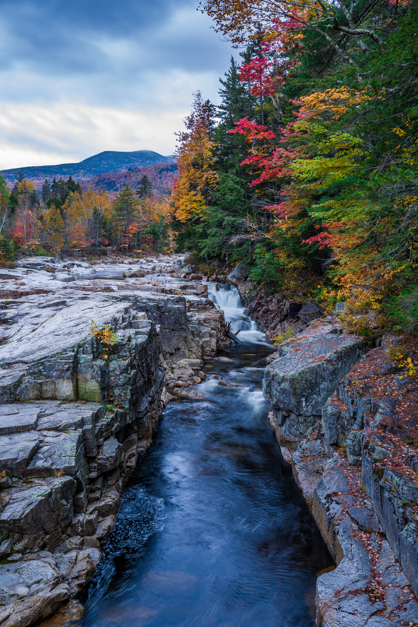 Leica TL2 sample photo. Fall foliage photography