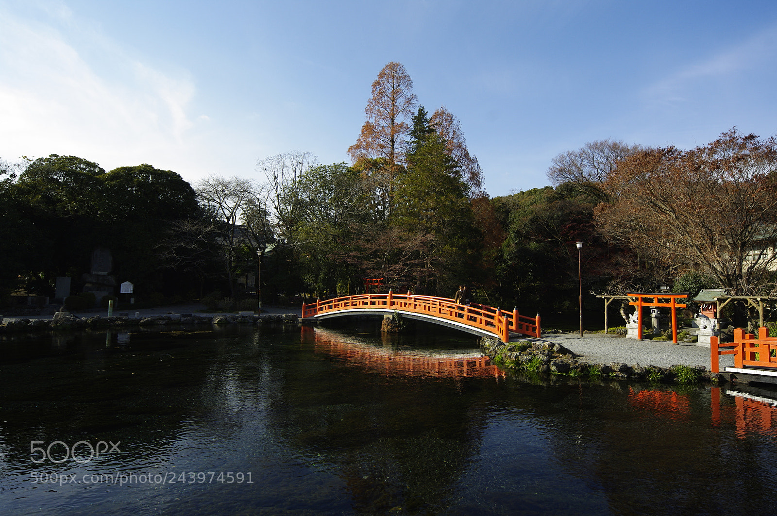 Pentax K20D sample photo. Untitled photography