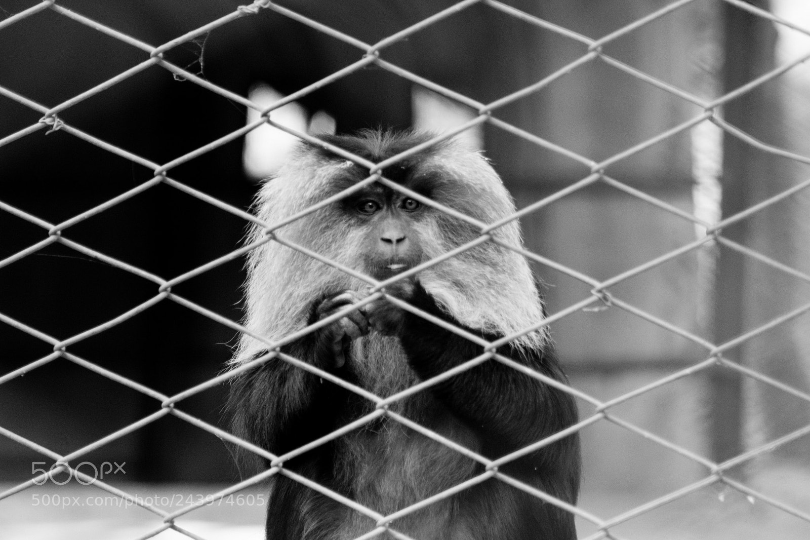 Nikon D3400 sample photo. Jailhouse photography