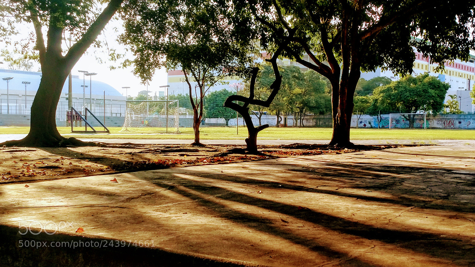 Motorola XT1650 sample photo. School backyard photography