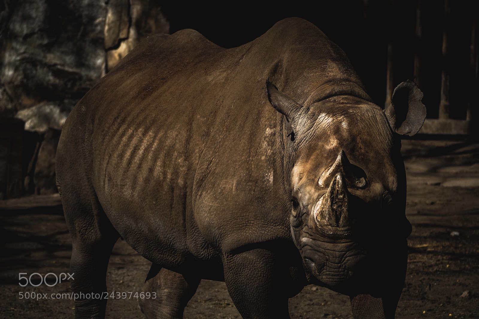 Olympus PEN-F sample photo. Zoo photography