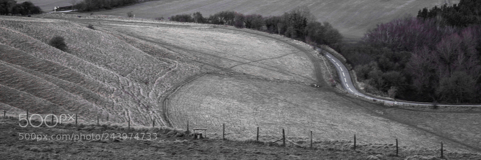 Nikon D3200 sample photo. Under the white horse photography