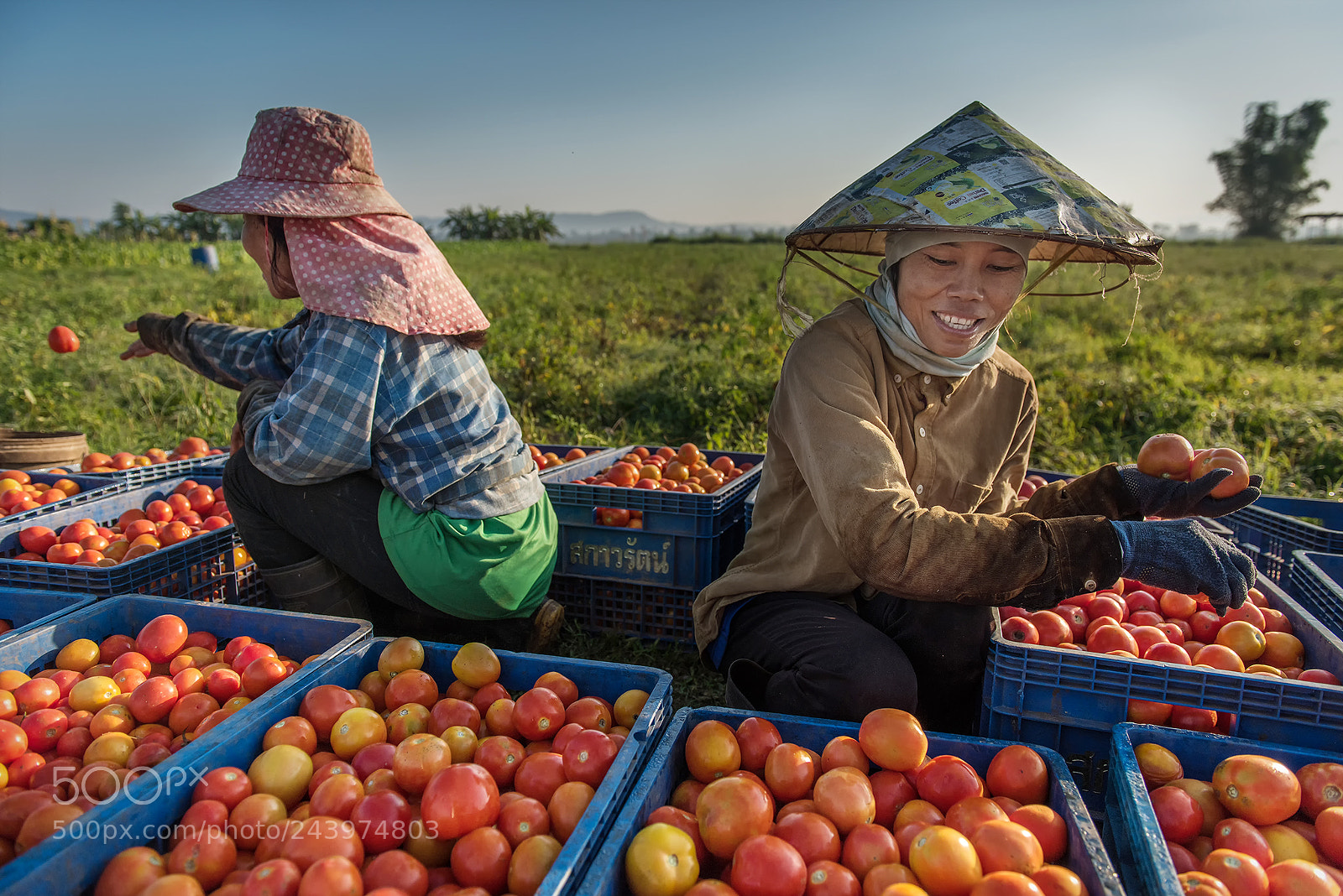 Nikon D810 sample photo. Smile photography