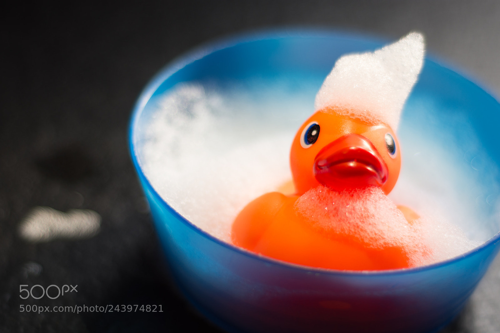 Nikon D7200 sample photo. Untitled photography