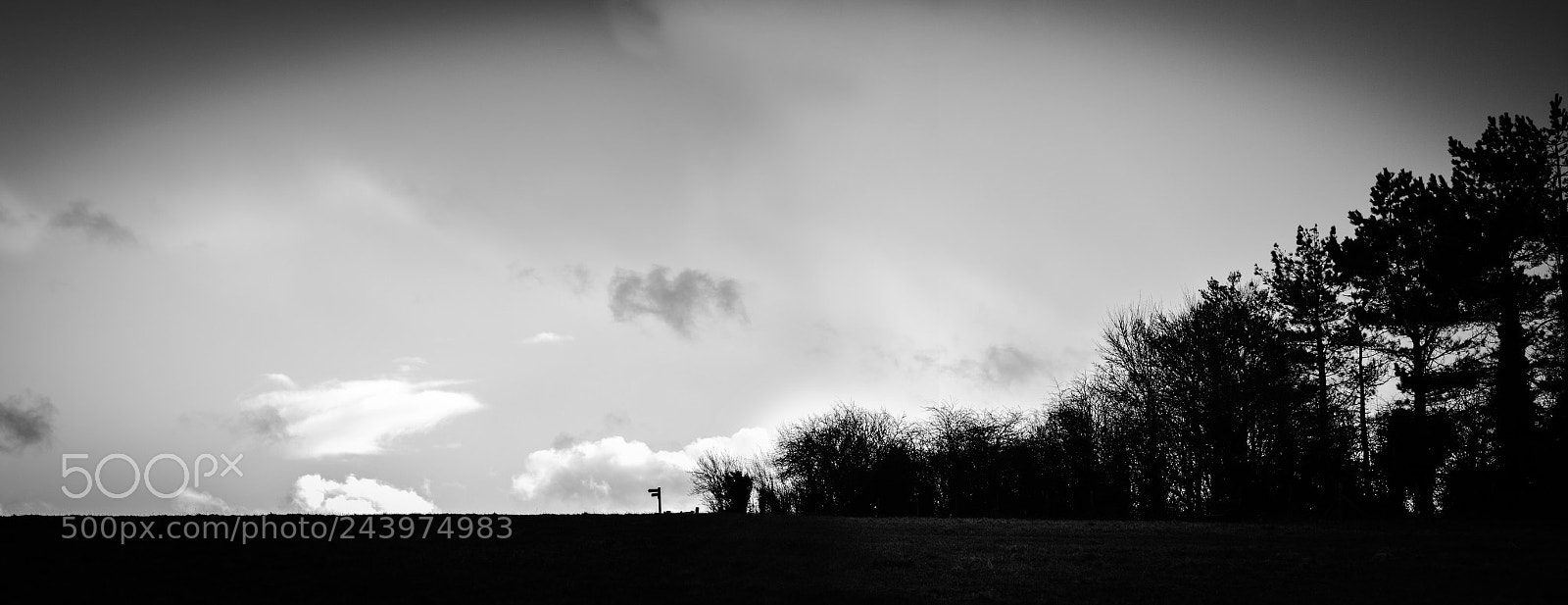 Nikon D3200 sample photo. The ridge edited photography