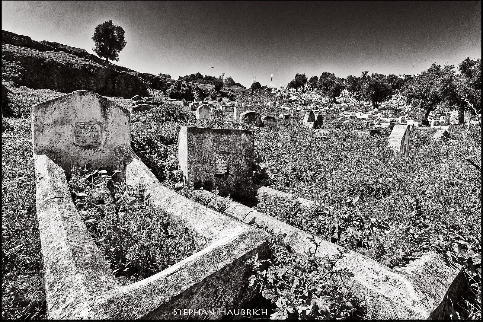 Canon EOS 30D sample photo. [ friedhof ] photography
