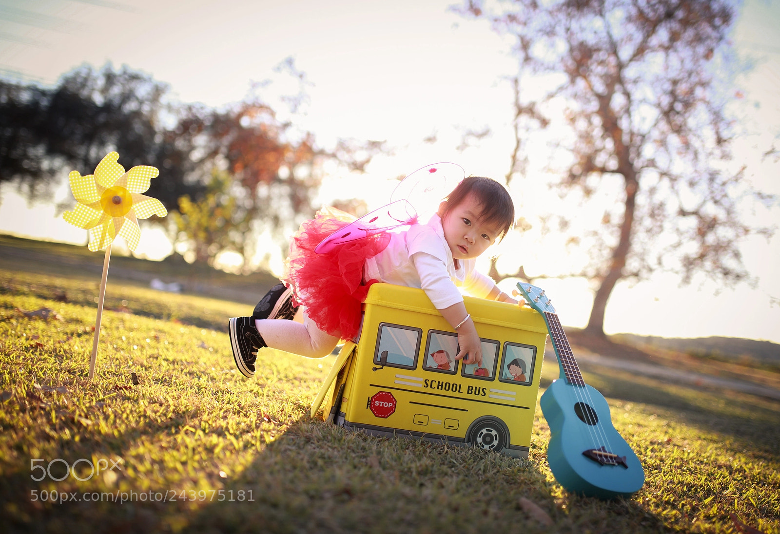 Canon EOS-1D X sample photo. Hq photography