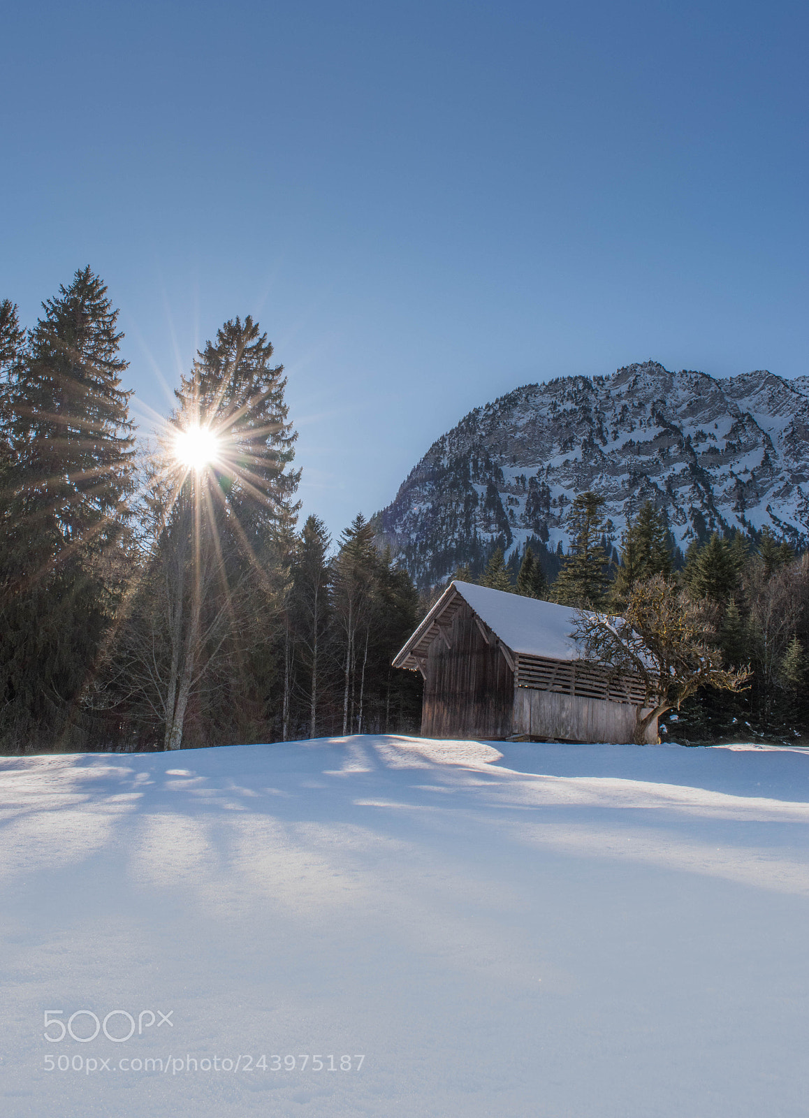 Nikon D5500 sample photo. Lovely nature photography
