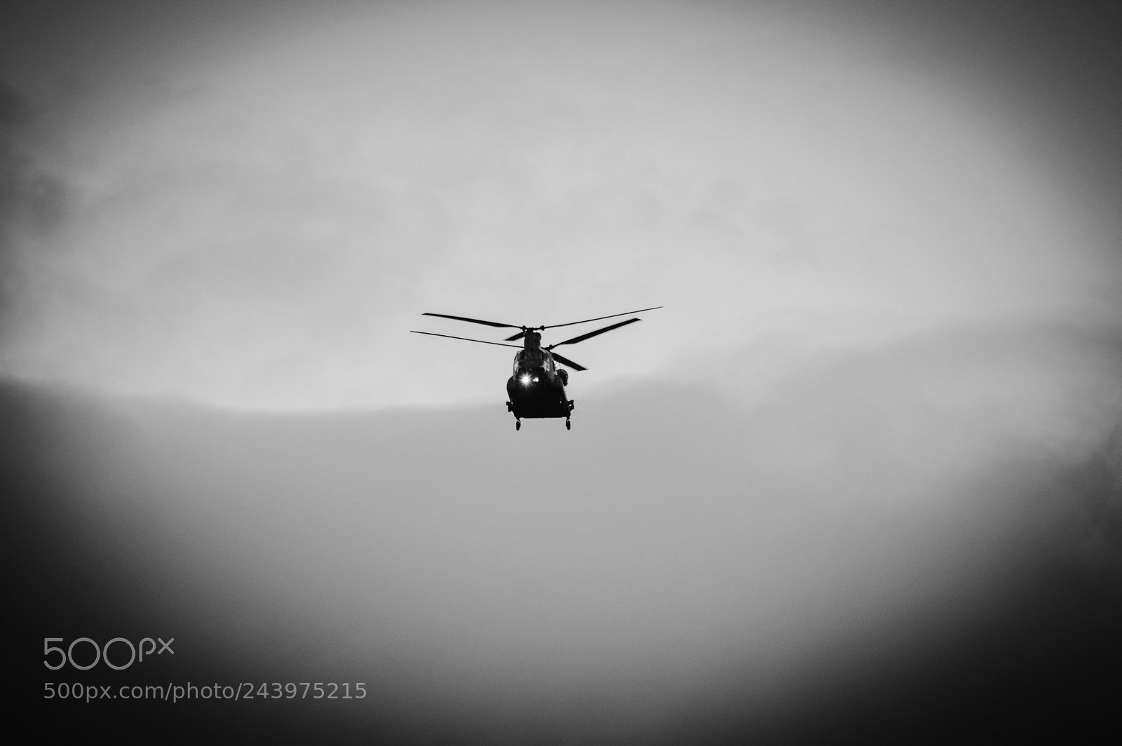 Nikon D3200 sample photo. Chinook photography