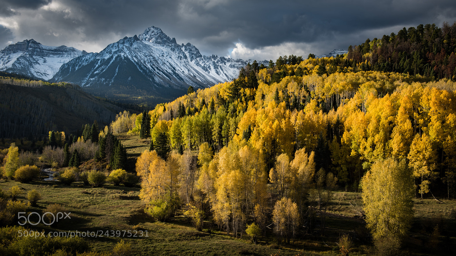 Nikon D810 sample photo. Where winter meets fall photography
