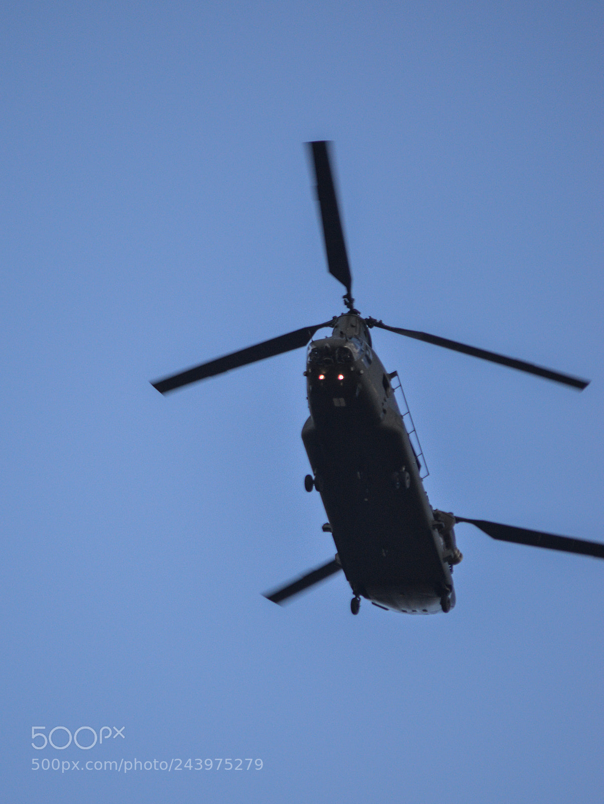 Nikon D3200 sample photo. Chinook photography