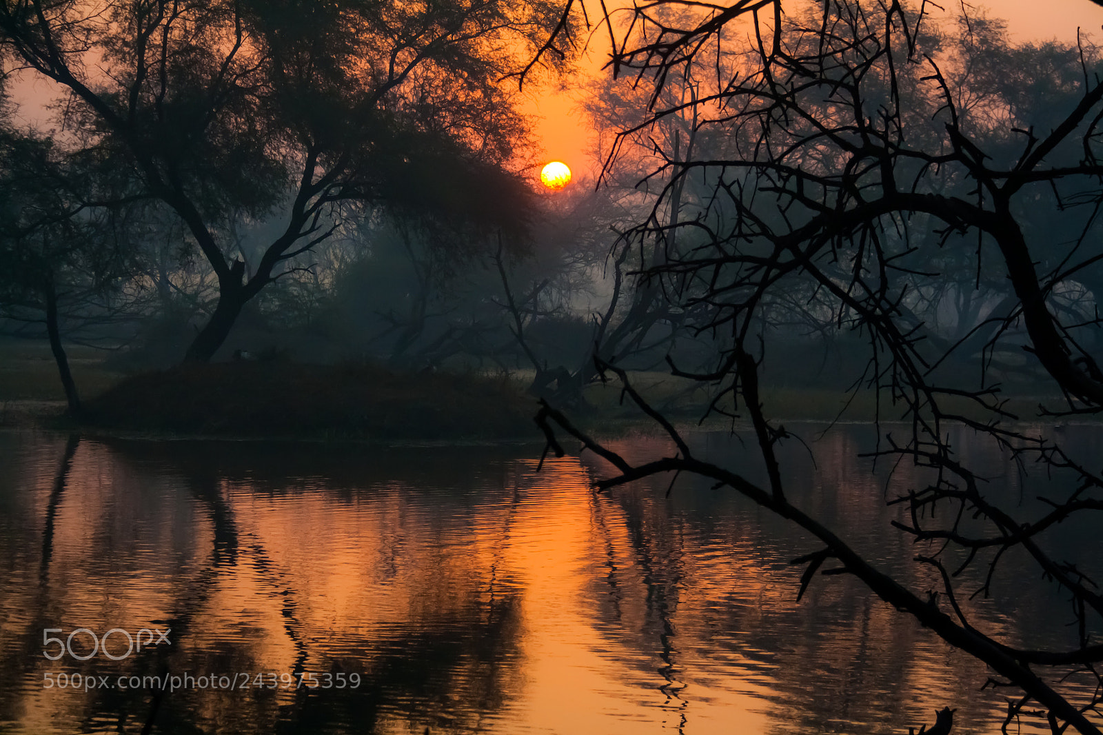 Canon EOS 1000D (EOS Digital Rebel XS / EOS Kiss F) sample photo. Sunrise @ keoladeo national park photography