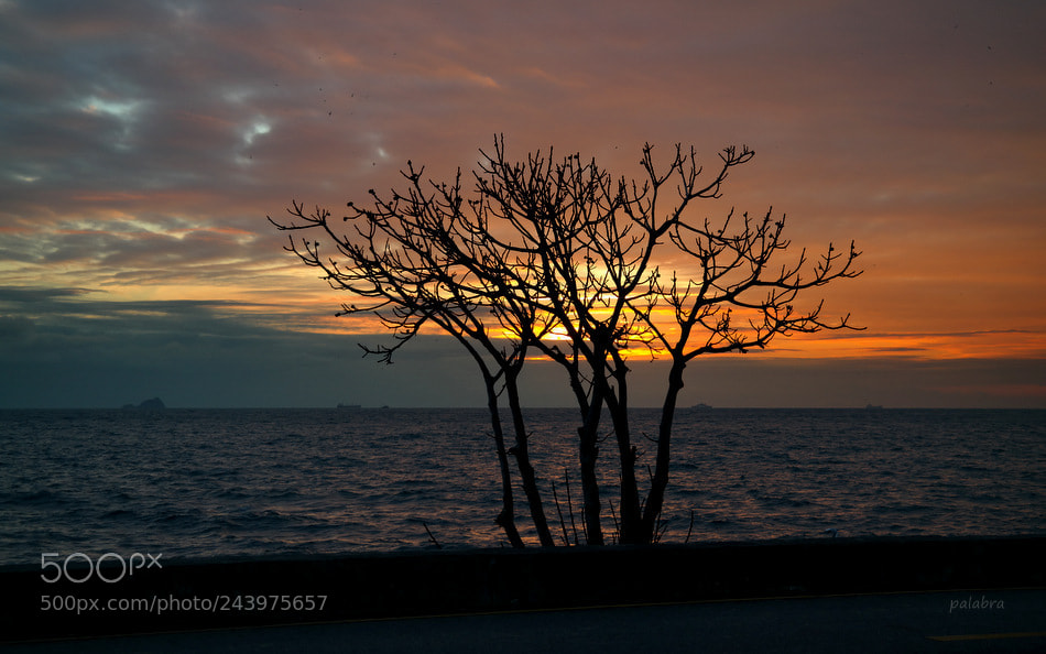 Samsung NX30 sample photo. ... photography