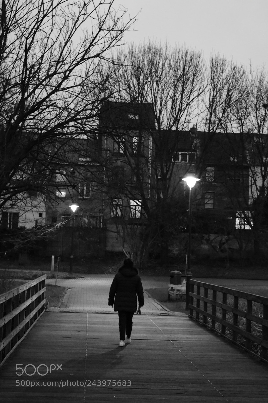 Nikon D3400 sample photo. Monochrome photography