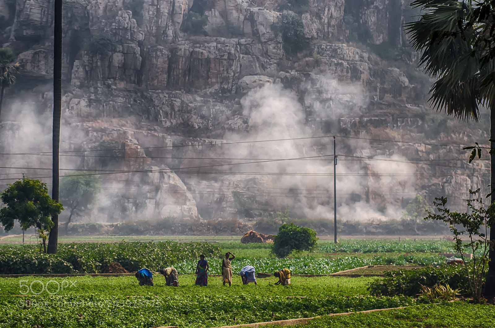 Nikon D5100 sample photo. Tilling the land. photography