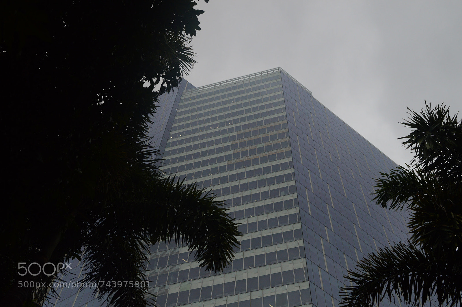 Nikon D3200 sample photo. Rainy building photography