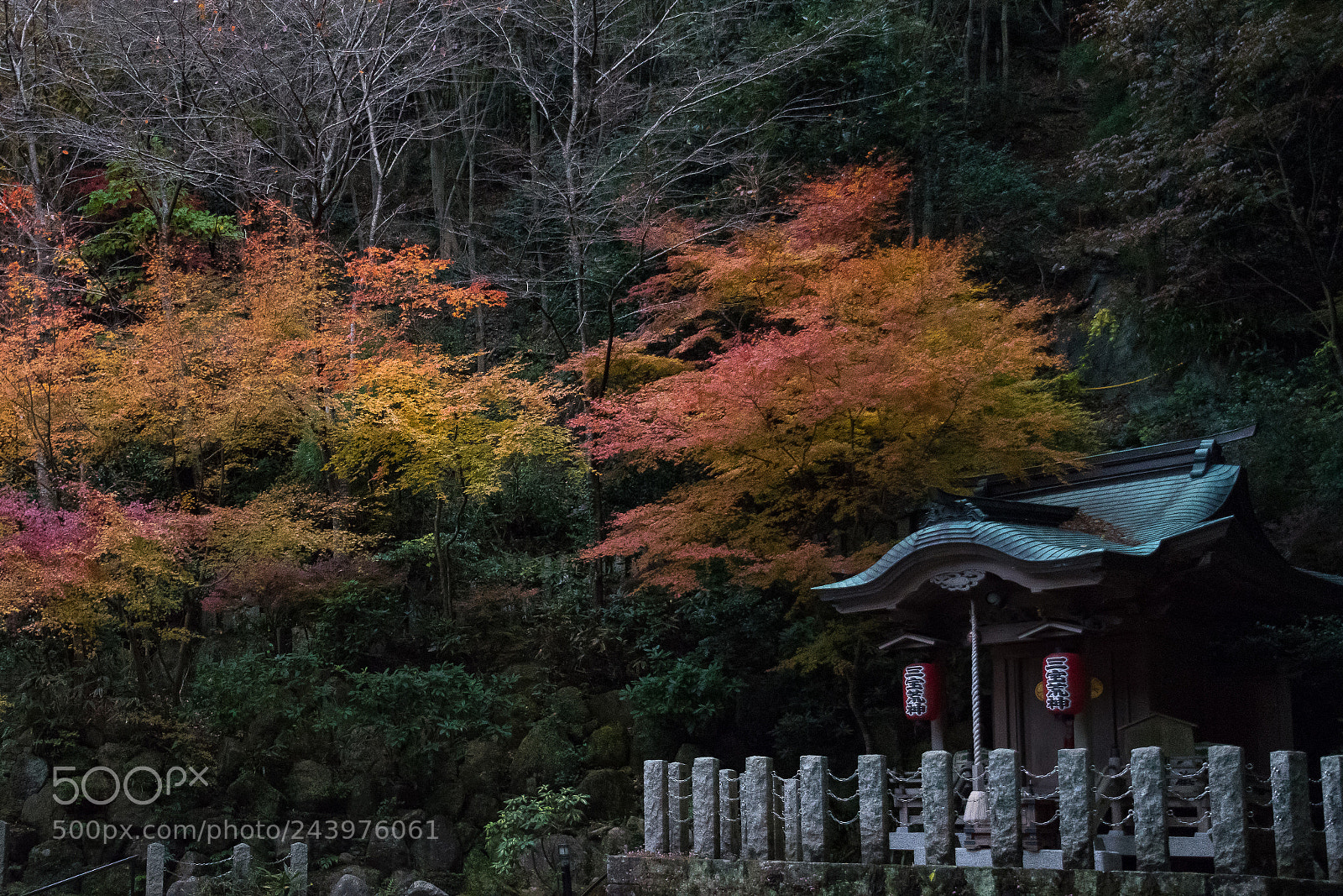 Nikon D5500 sample photo. Nanzo in temple photography