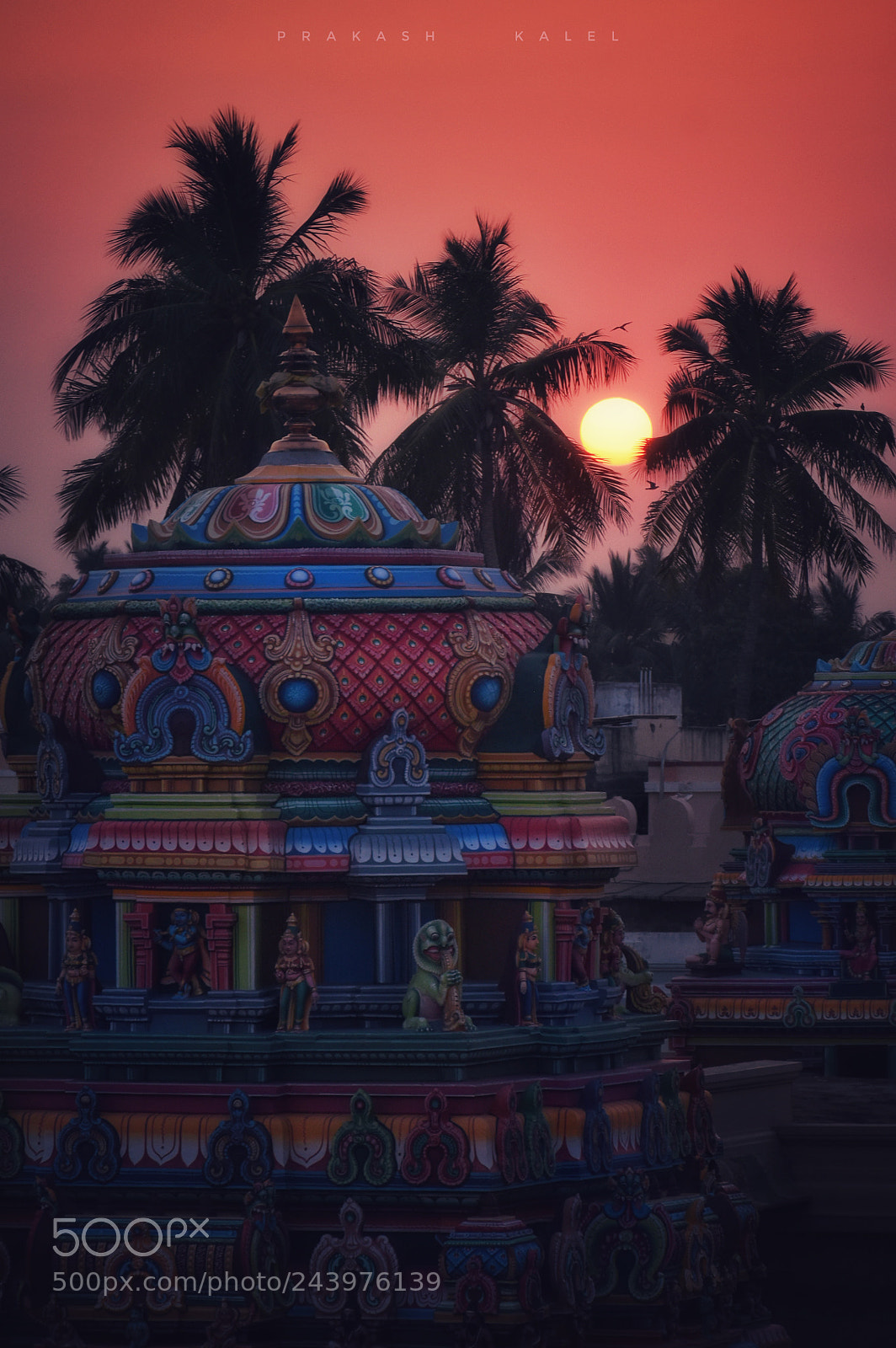 Nikon D5500 sample photo. Sunset photography