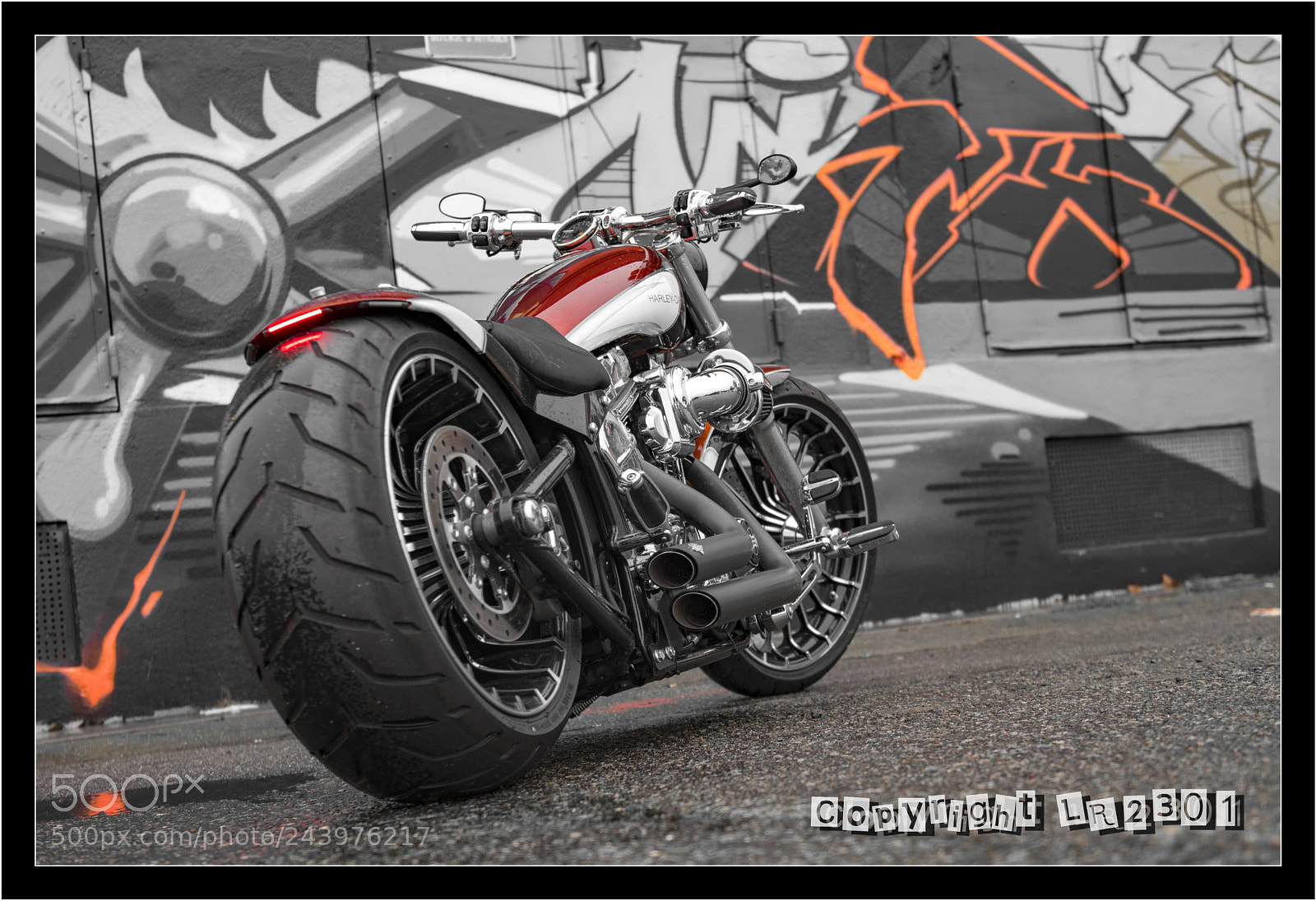 Nikon D500 sample photo. Harley photography