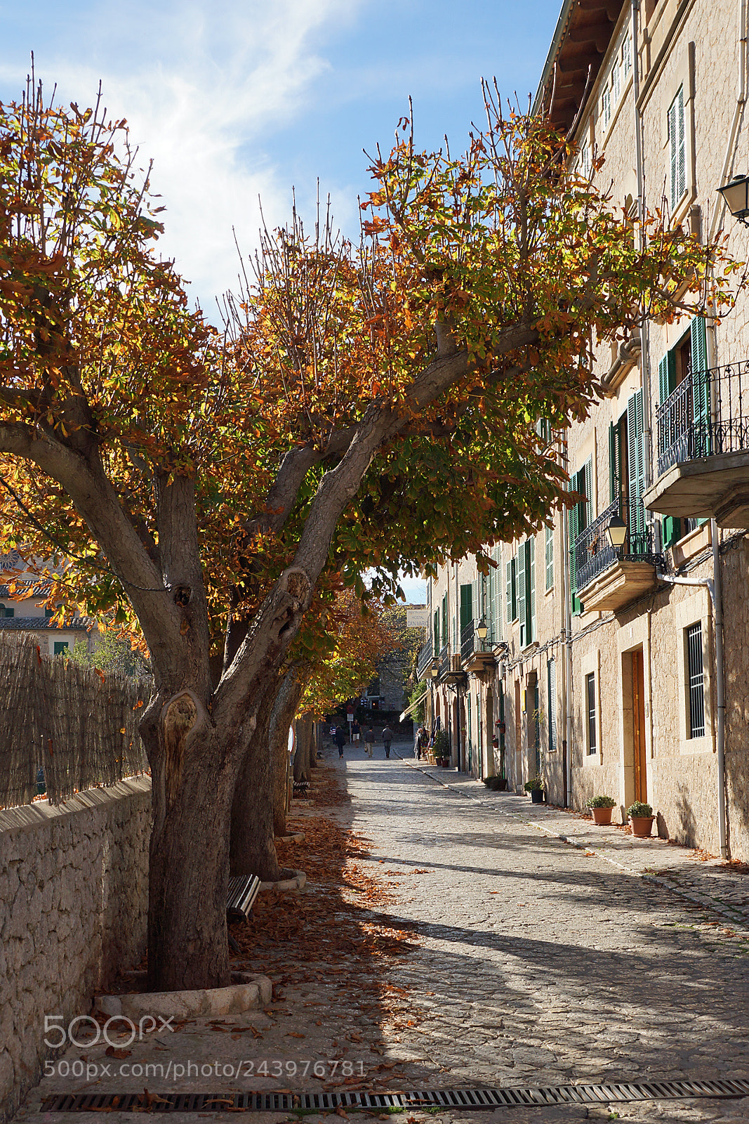 Sony SLT-A77 sample photo. Valldemossa photography