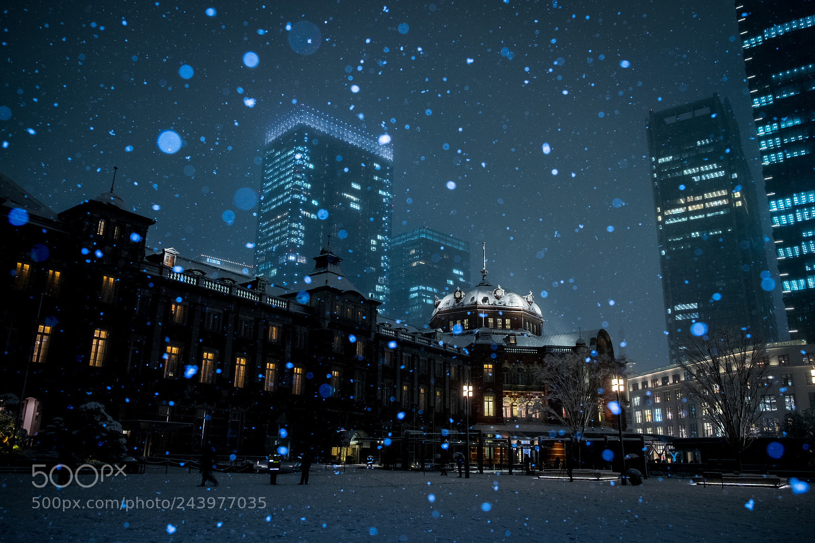 Fujifilm X-T1 sample photo. Tokyo sitation snow photography