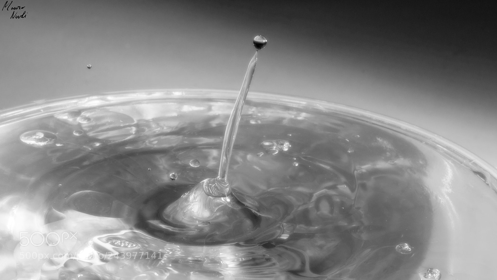 Nikon D3100 sample photo. Drops photography