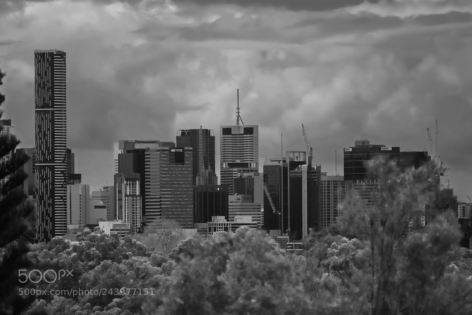 Fujifilm X-E3 sample photo. Brisbane photography