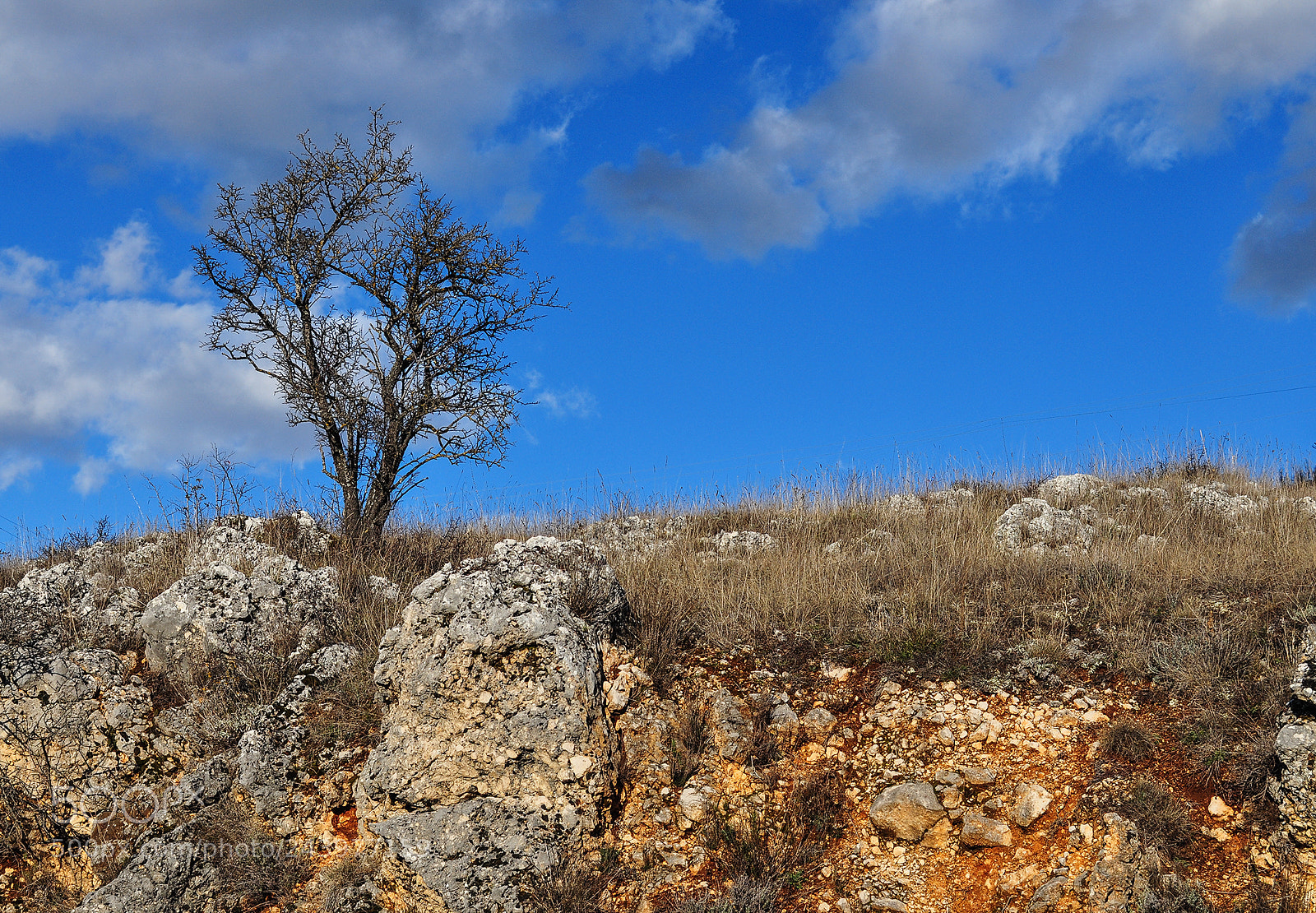 Nikon D90 sample photo. Lonely photography
