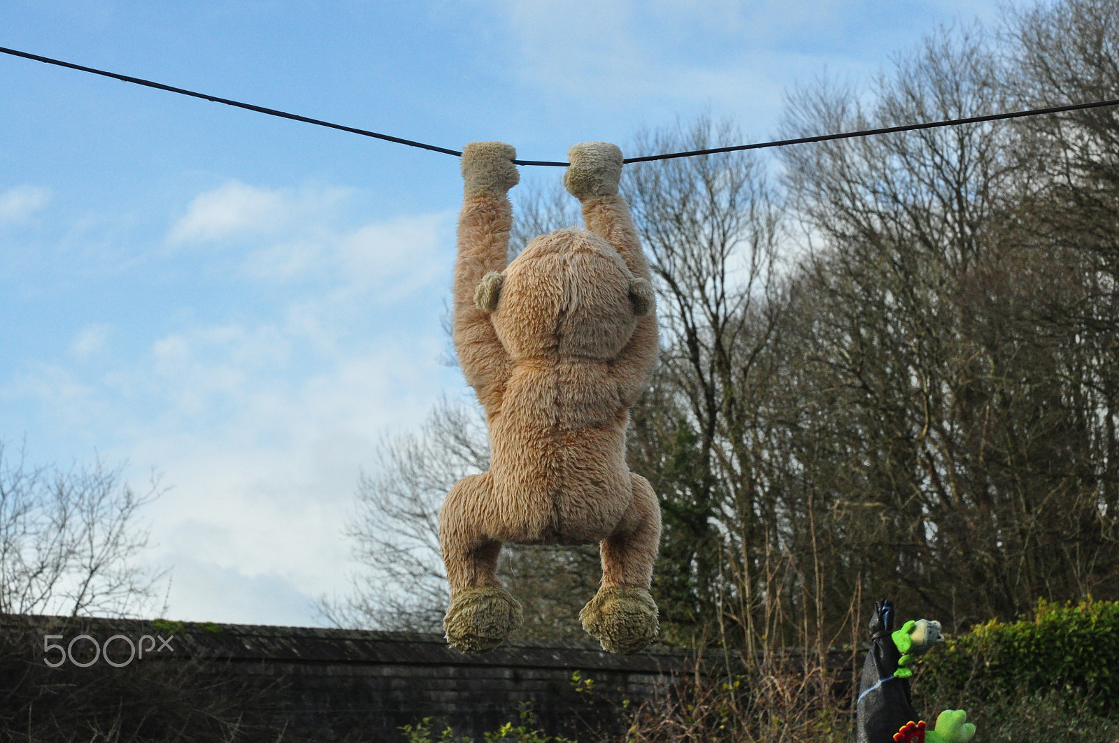 Nikon D90 sample photo. Cheeky monkey photography