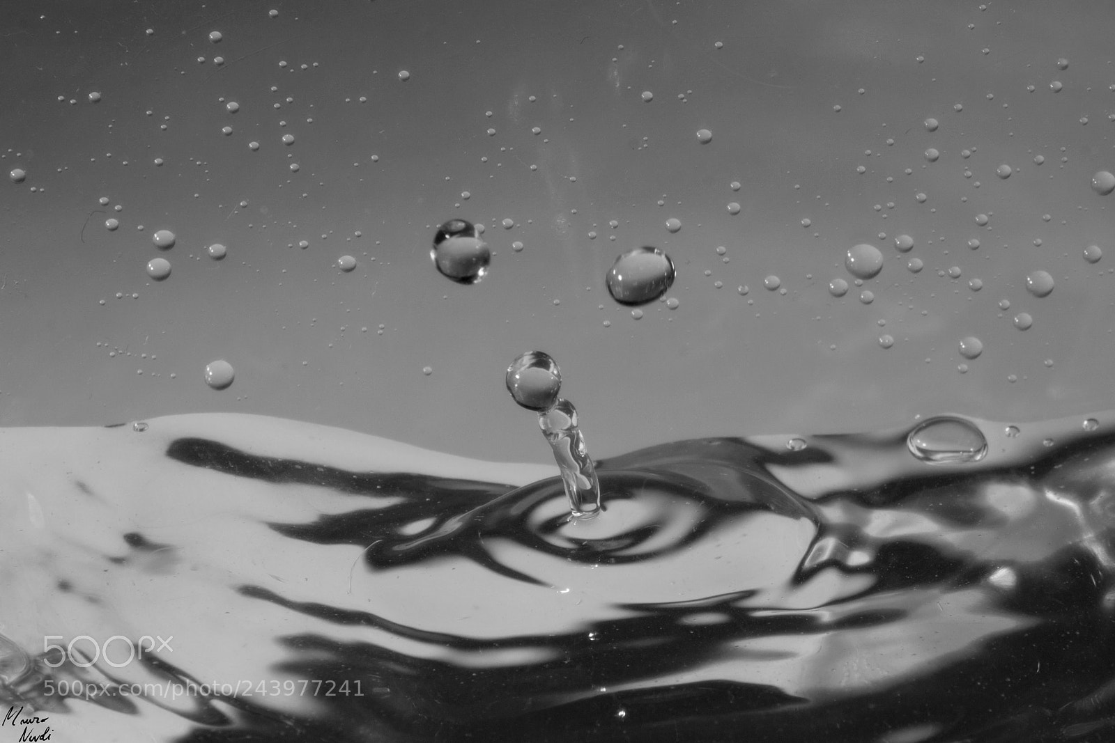 Nikon D3100 sample photo. Drops photography