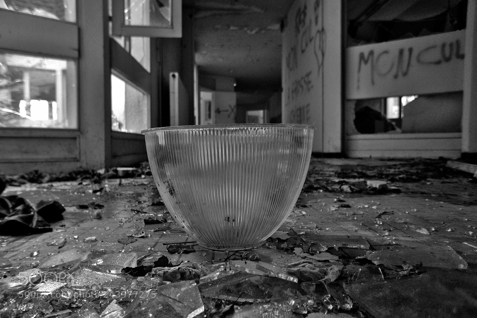 Sony Alpha a5000 (ILCE 5000) sample photo. Un globe a terre photography