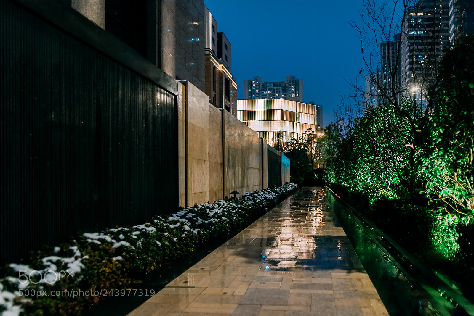 Nikon D810 sample photo. 雪化太快 photography
