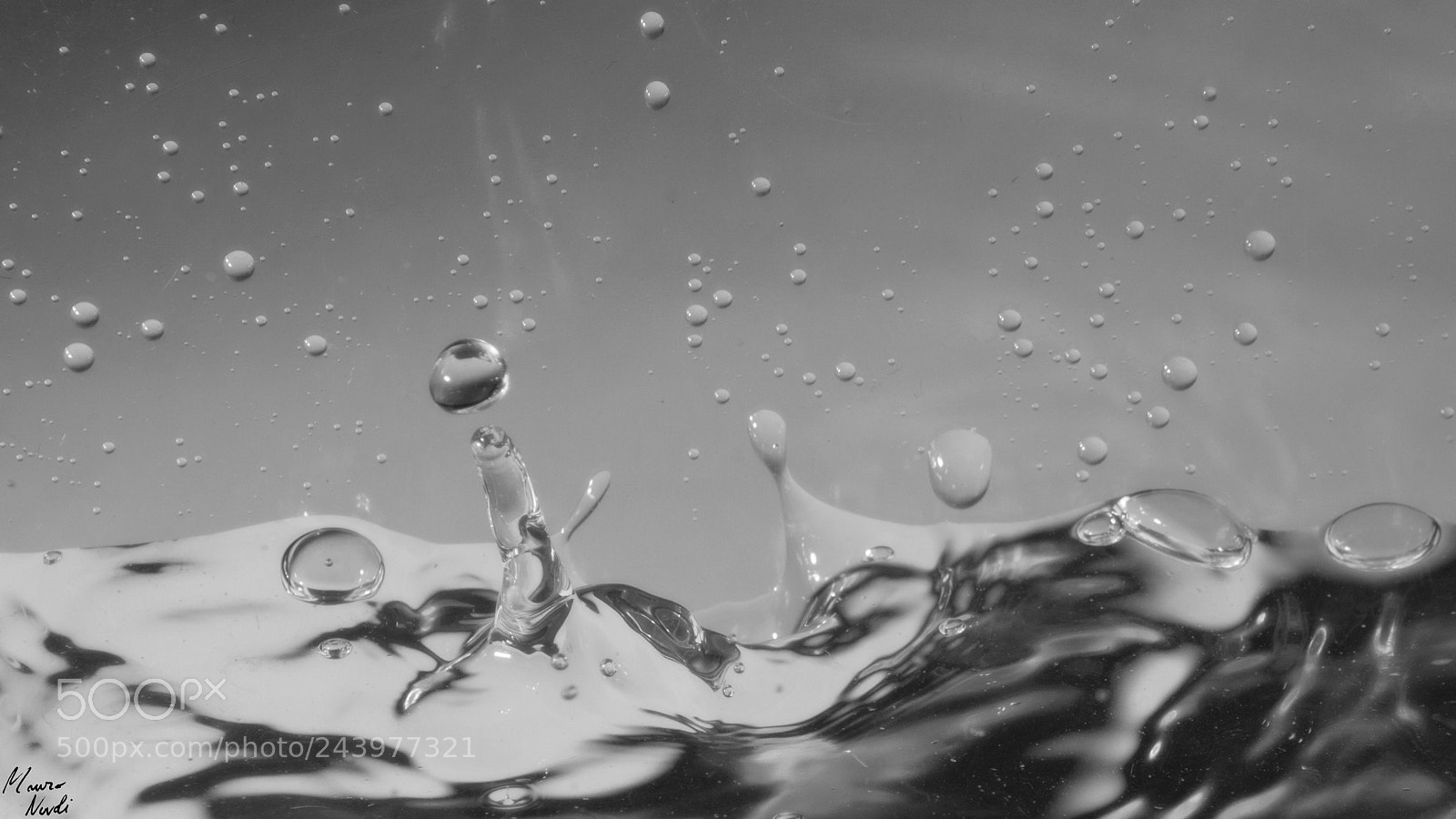 Nikon D3100 sample photo. Drops photography