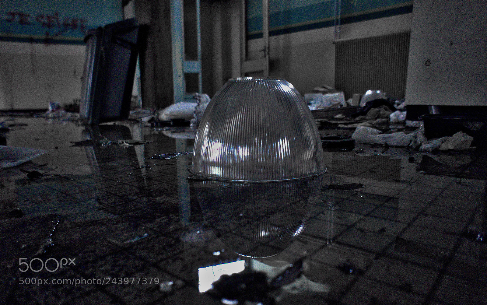 Sony Alpha a5000 (ILCE 5000) sample photo. Desastre sur sol humide photography