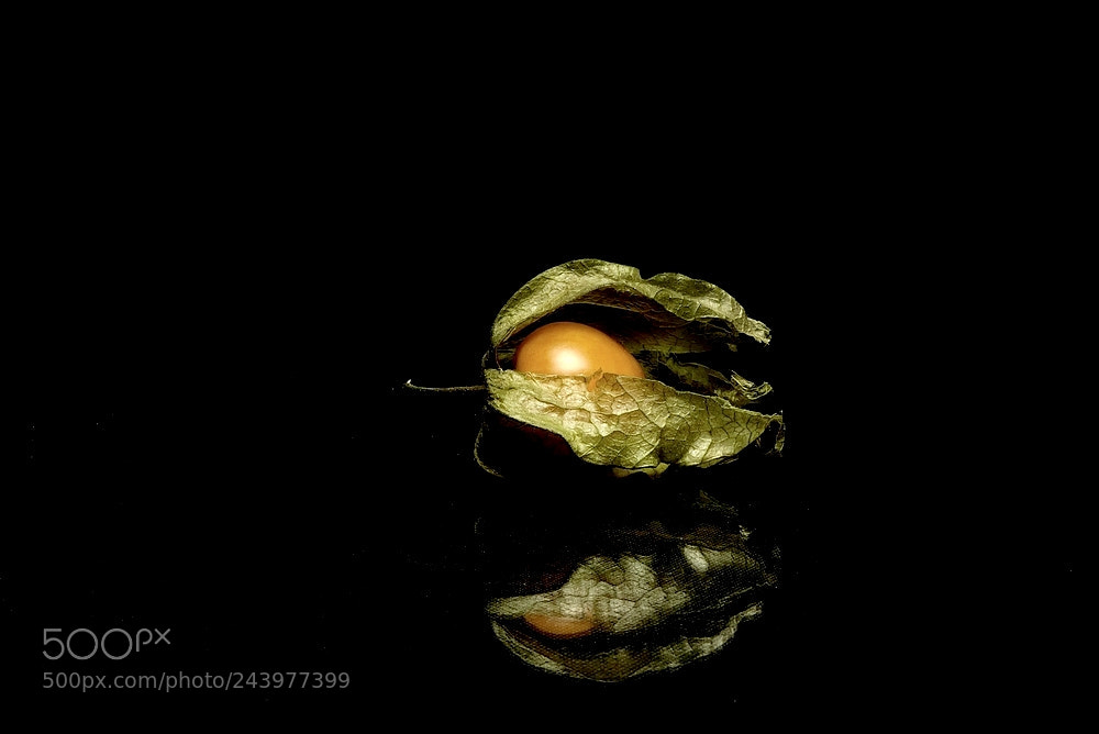Panasonic Lumix DMC-FZ300 sample photo. Physalis photography