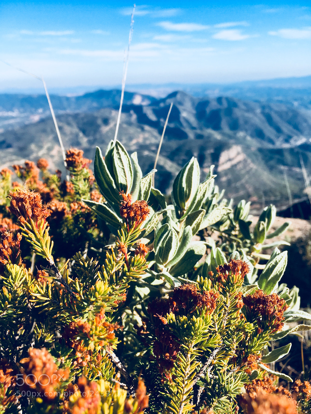 Apple iPhone SE sample photo. Mountain monserrat photography